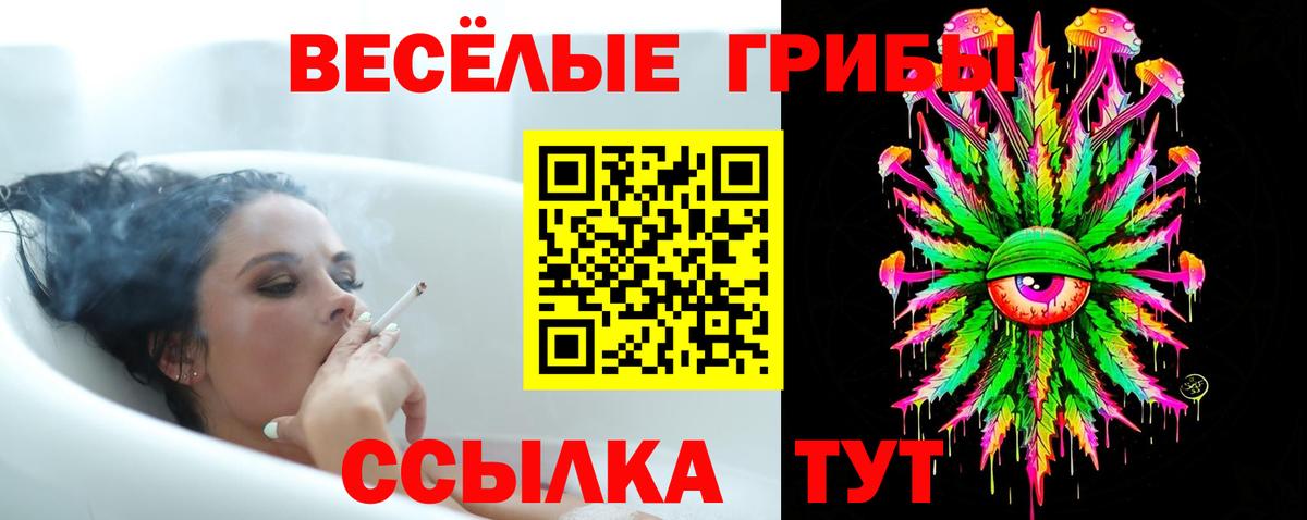 Галлюциногенные грибы прущие грибы  Вход с VPN  Новоалександровск 
