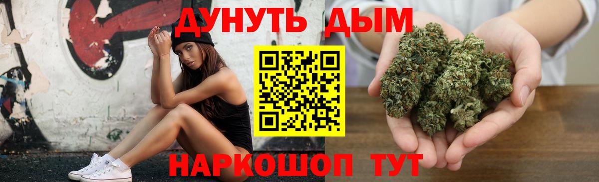 Канабис планчик Новоалександровск